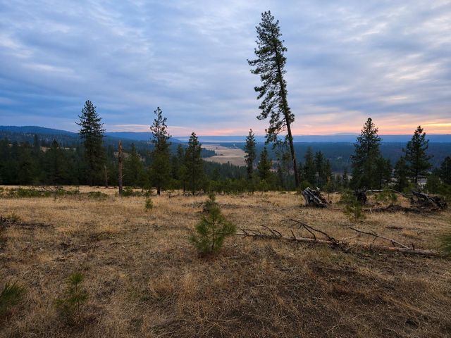 5xxx HWY 231 Hwy, Ford, WA 99013
