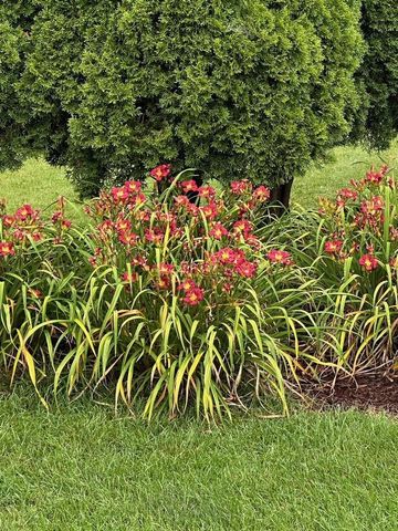 2308 N APPLETON STREET, Appleton, WI 54911