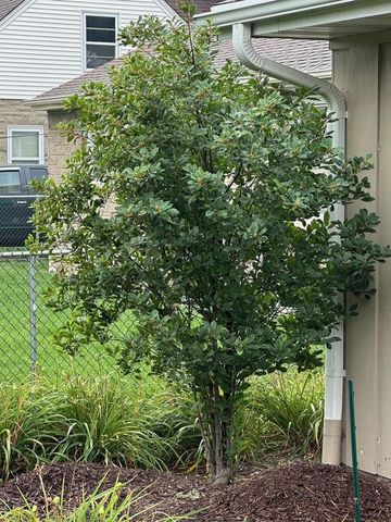 2308 N APPLETON STREET, Appleton, WI 54911