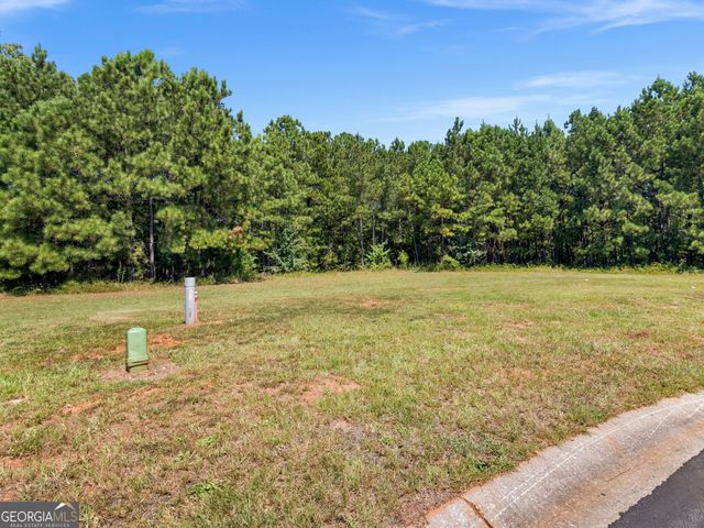 125 Parkview Place Drive, Mcdonough, GA 30253