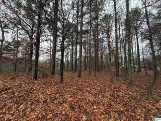 7813 BARBARA DRIVE, Mccalla, AL 35111