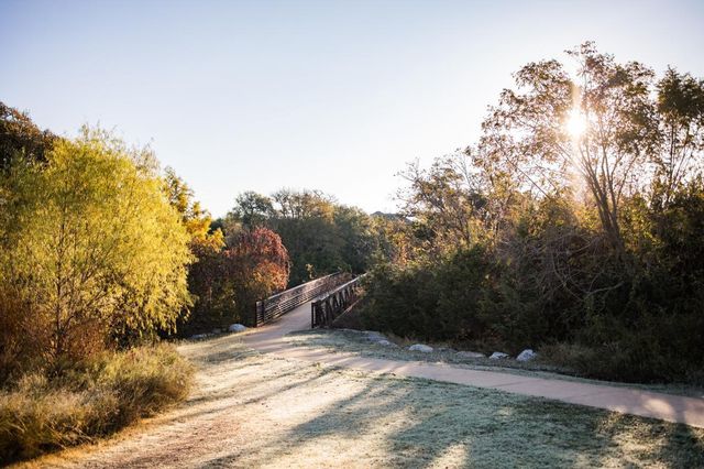 4510 Wicklow Mountain TRL, Cedar Park, TX 78613