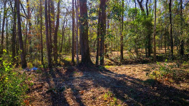 0 Live Oak Lane, Coldspring, TX 77331