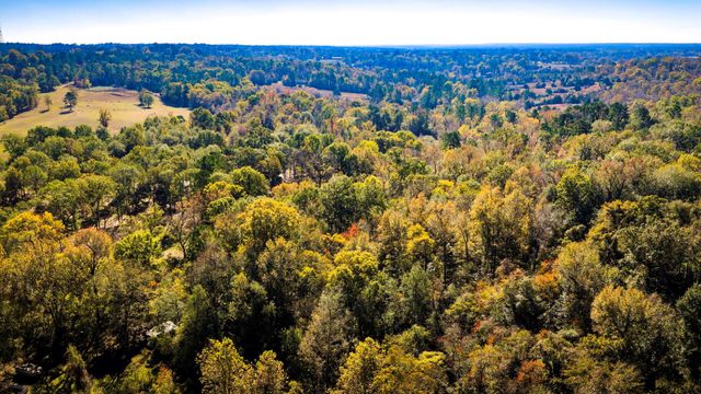 0 Live Oak Lane, Coldspring, TX 77331