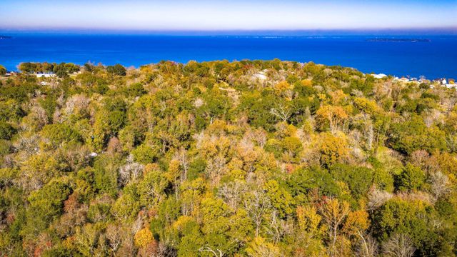 0 Live Oak Lane, Coldspring, TX 77331