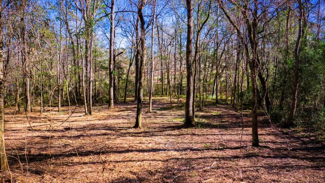 0 Live Oak Lane, Coldspring, TX 77331