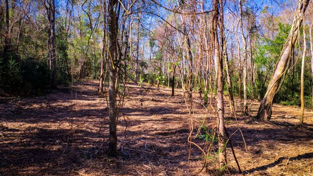 0 Live Oak Lane, Coldspring, TX 77331