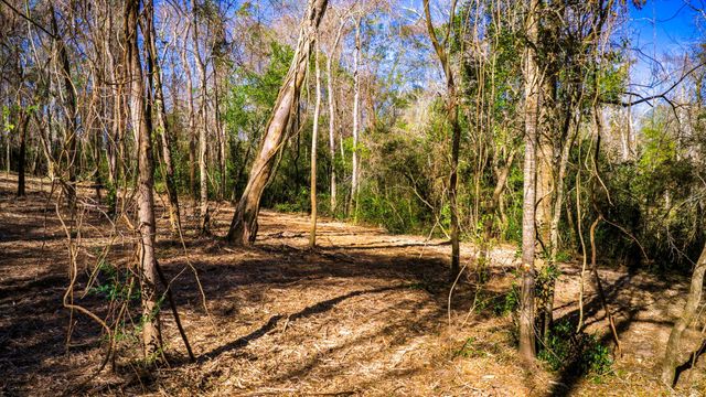 0 Live Oak Lane, Coldspring, TX 77331