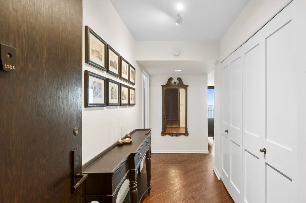 1212 N Lake Shore Drive 15BS, Chicago, IL 60610 — photo 4