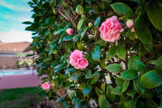 17417 Plaza Sonada, San Diego, CA 92128