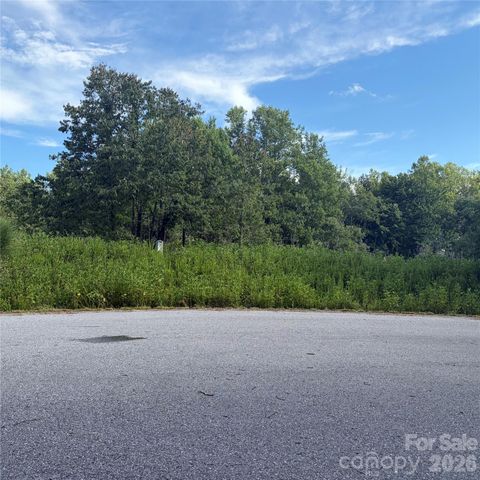 TBD Lot #30 Ashe View Drive, Millers Creek, NC 28651
