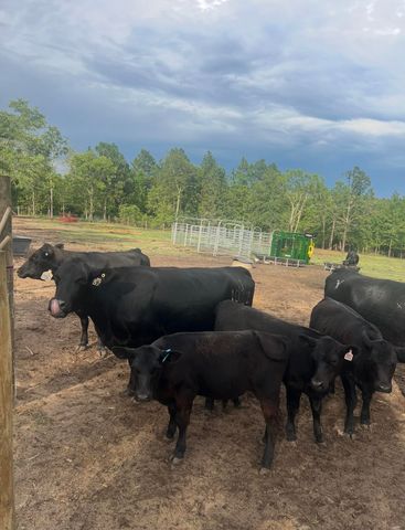 520 E Frontage Road, Aiken, SC 29805