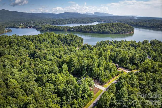 217 Sycamore Drive, Nebo, NC 28761