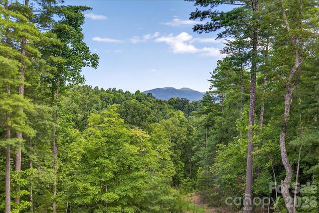 217 Sycamore Drive, Nebo, NC 28761
