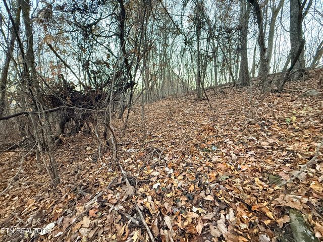 Lot 214 Clinch View Rd, New Tazewell, TN 37825