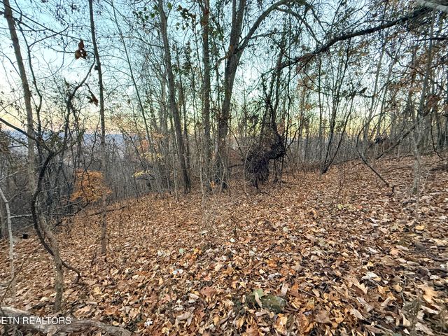 Lot 214 Clinch View Rd, New Tazewell, TN 37825