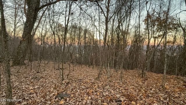 Lot 214 Clinch View Rd, New Tazewell, TN 37825