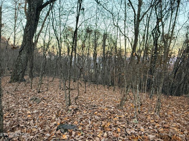 Lot 214 Clinch View Rd, New Tazewell, TN 37825