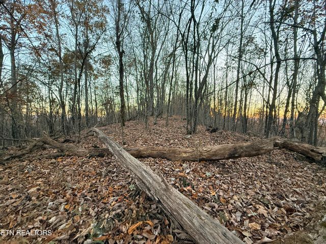 Lot 214 Clinch View Rd, New Tazewell, TN 37825