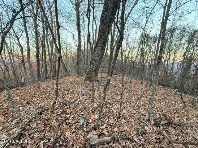Lot 214 Clinch View Rd, New Tazewell, TN 37825