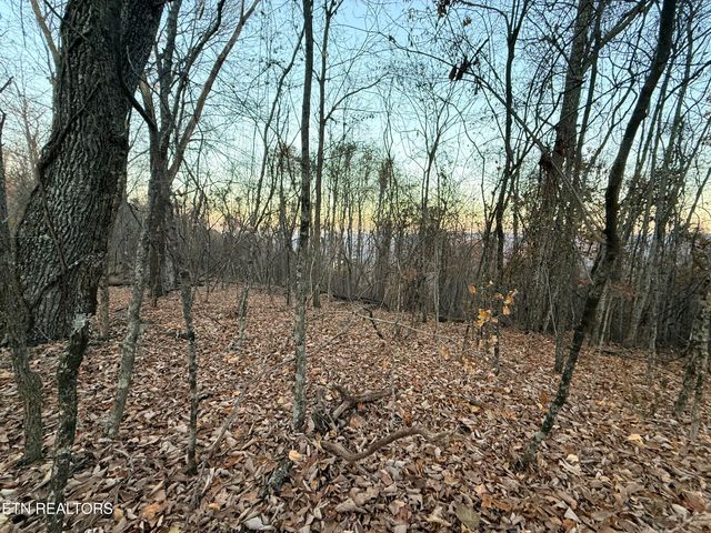 Lot 214 Clinch View Rd, New Tazewell, TN 37825