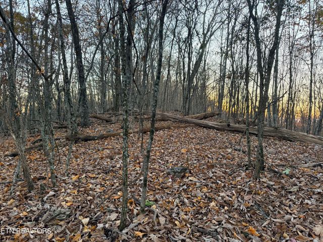 Lot 214 Clinch View Rd, New Tazewell, TN 37825