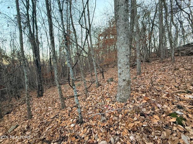 Lot 214 Clinch View Rd, New Tazewell, TN 37825