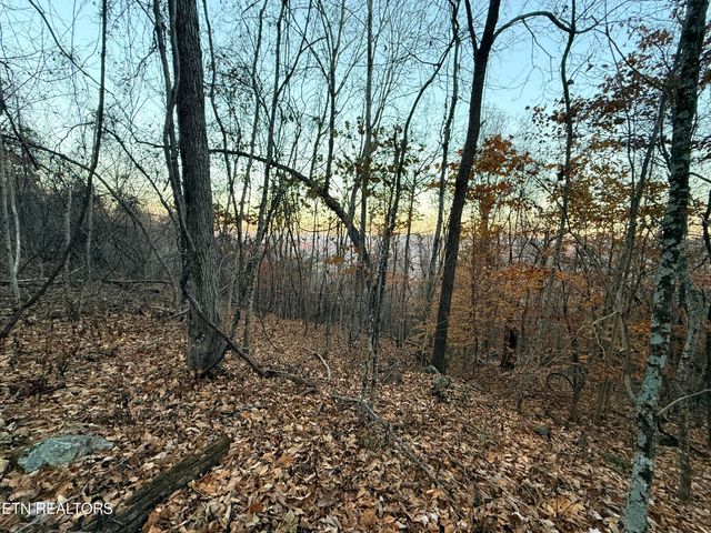 Lot 214 Clinch View Rd, New Tazewell, TN 37825