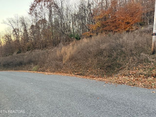 Lot 214 Clinch View Rd, New Tazewell, TN 37825
