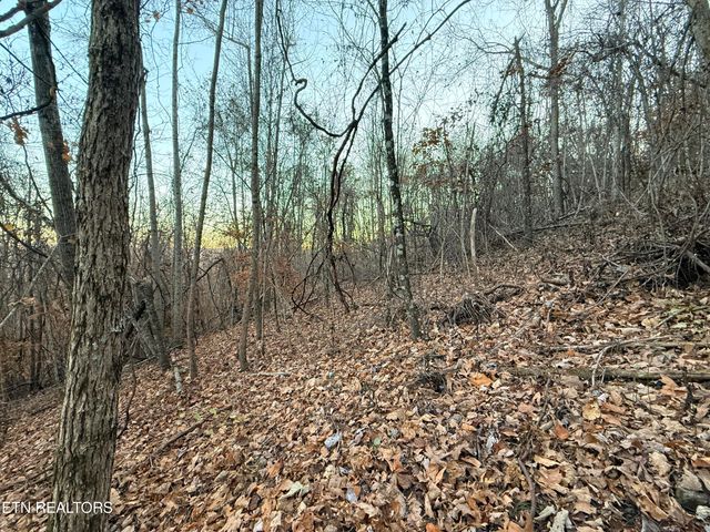 Lot 214 Clinch View Rd, New Tazewell, TN 37825