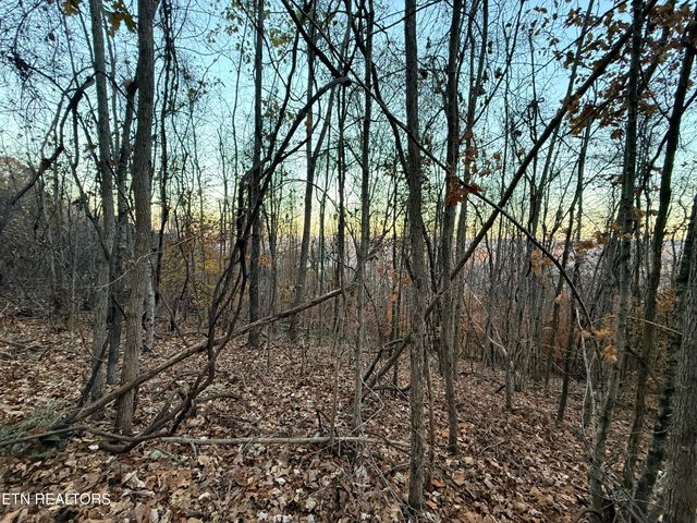 Lot 214 Clinch View Rd, New Tazewell, TN 37825