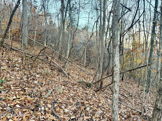 Lot 214 Clinch View Rd, New Tazewell, TN 37825