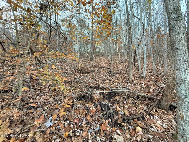 Lot 214 Clinch View Rd, New Tazewell, TN 37825