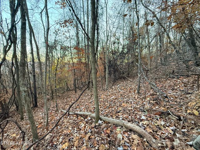 Lot 214 Clinch View Rd, New Tazewell, TN 37825