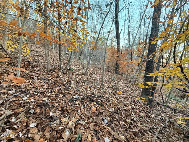 Lot 214 Clinch View Rd, New Tazewell, TN 37825