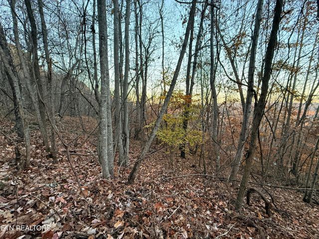 Lot 214 Clinch View Rd, New Tazewell, TN 37825