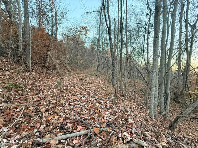 Lot 214 Clinch View Rd, New Tazewell, TN 37825