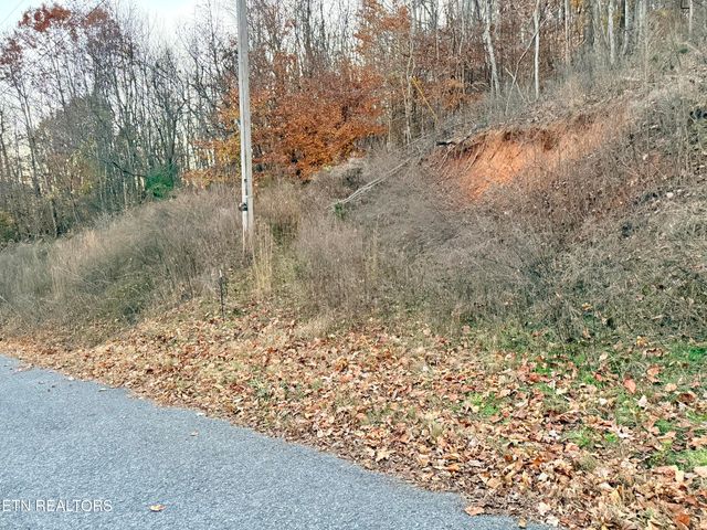 Lot 214 Clinch View Rd, New Tazewell, TN 37825