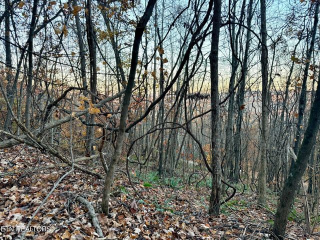 Lot 214 Clinch View Rd, New Tazewell, TN 37825