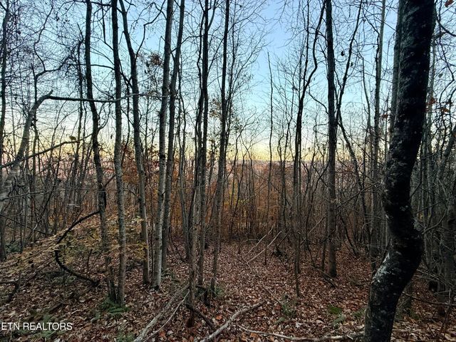 Lot 214 Clinch View Rd, New Tazewell, TN 37825