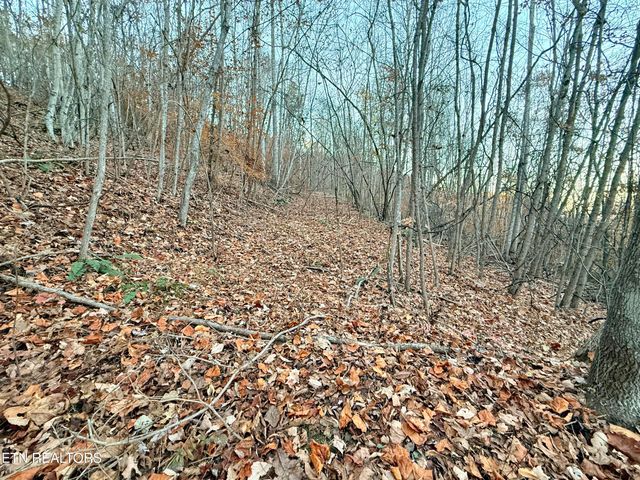 Lot 214 Clinch View Rd, New Tazewell, TN 37825