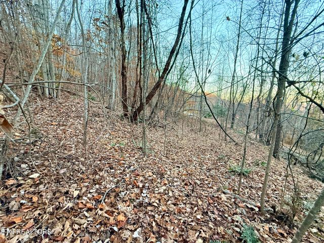 Lot 214 Clinch View Rd, New Tazewell, TN 37825