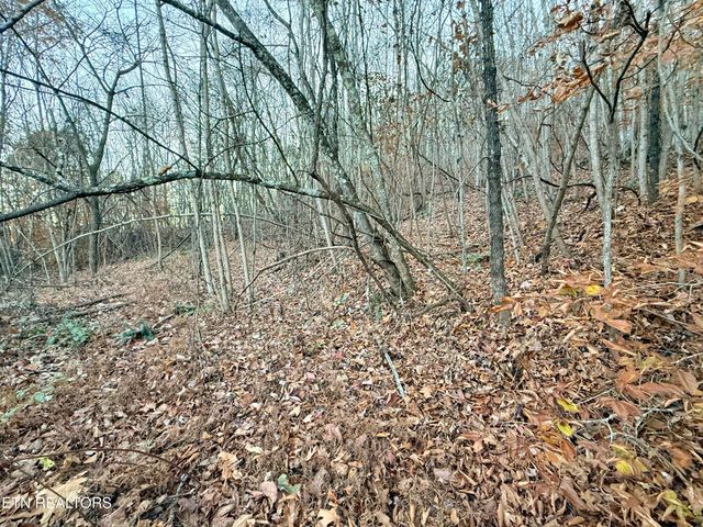 Lot 214 Clinch View Rd, New Tazewell, TN 37825