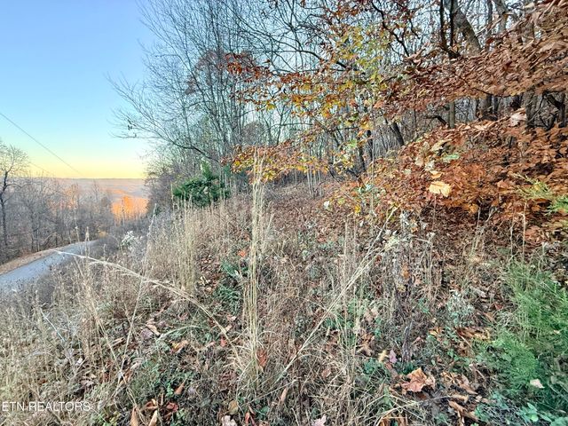 Lot 214 Clinch View Rd, New Tazewell, TN 37825