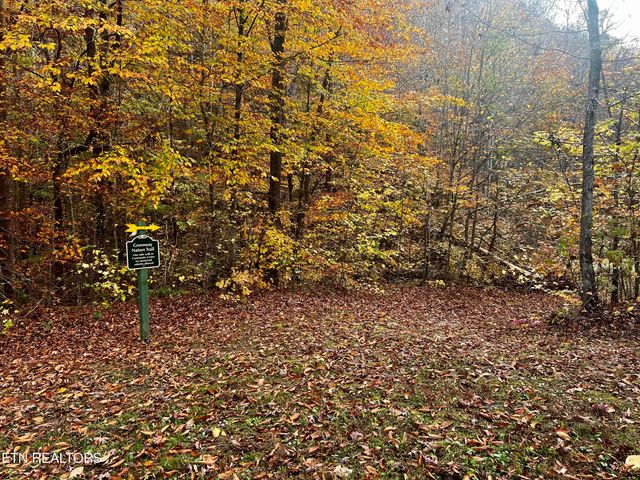 Lot 214 Clinch View Rd, New Tazewell, TN 37825