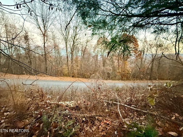 Lot 214 Clinch View Rd, New Tazewell, TN 37825
