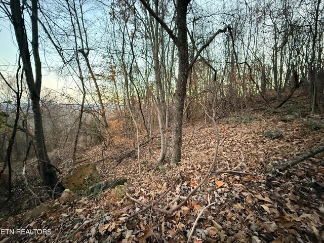 Lot 214 Clinch View Rd, New Tazewell, TN 37825