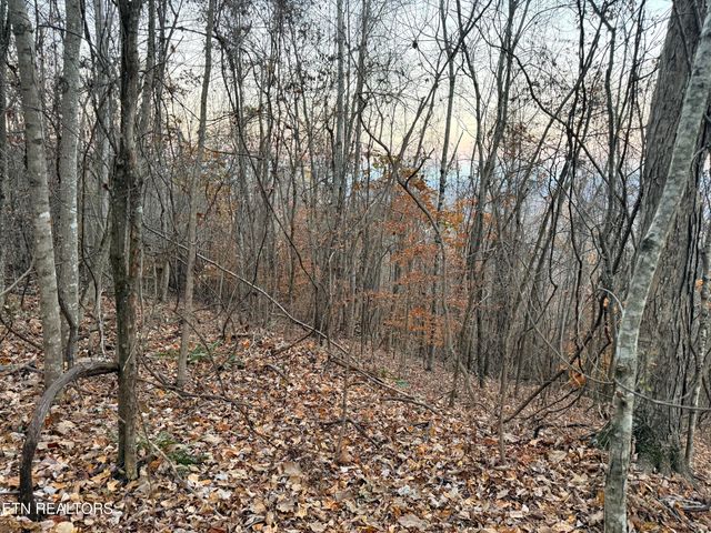Lot 214 Clinch View Rd, New Tazewell, TN 37825