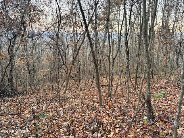 Lot 214 Clinch View Rd, New Tazewell, TN 37825