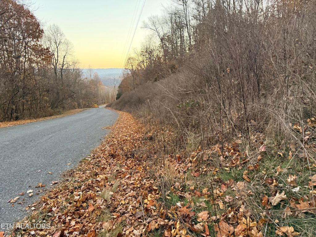 Lot 214 Clinch View Rd, New Tazewell, TN 37825